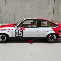 Peter Brock - 1979 Bathurst Winner - A9X Torana - 1:24 Scale Diecast Model - DDA