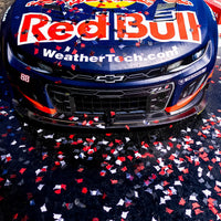 SHANE VAN GISBERGEN 2025 RED BULL SONOMA RACED WIN 1:24 SCALE ARC DIECAST