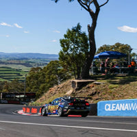 *PRE-ORDER* MATTHEW PAYNE & GARTH TANDER - PENRITE RACING #100 FORD MUSTANG GT - 2025 BATHURST 1000 WINNER - 1:18 SCALE MODEL DIECAST - Authentic Collectables