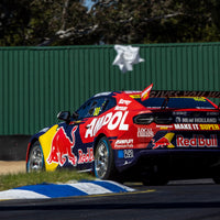 CHEVROLET CAMARO - RED BULL AMPOL RACING - FEENEY / WHINCUP #88 - 2023 Sandown 500 WINNER - 1:43 Scale Diecast Model Car - BIANTE