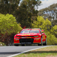 *PRE-ORDER* CHEVROLET CAMARO - SUPERCHEAP AUTO RACING - LOWNDES / GODDARD #888 - 2023 Bathurst 1000 WILDCARD - 1:43 Scale Diecast Model Car - BIANTE