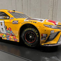 KYLE BUSCH 2021 M&M'S MINIS POCONO RACED WIN 1:24 ARC DIECAST