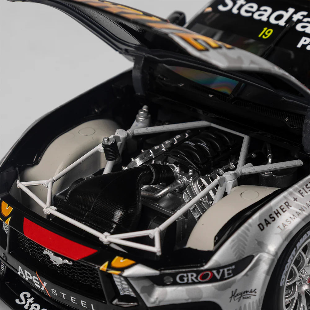 Matthew Payne - Penrite Racing #19 Ford Mustang GT - 2024 ITM Taupo Super400 Native Livery - 1:18 Scale Diecast Model - Authentic Collectables
