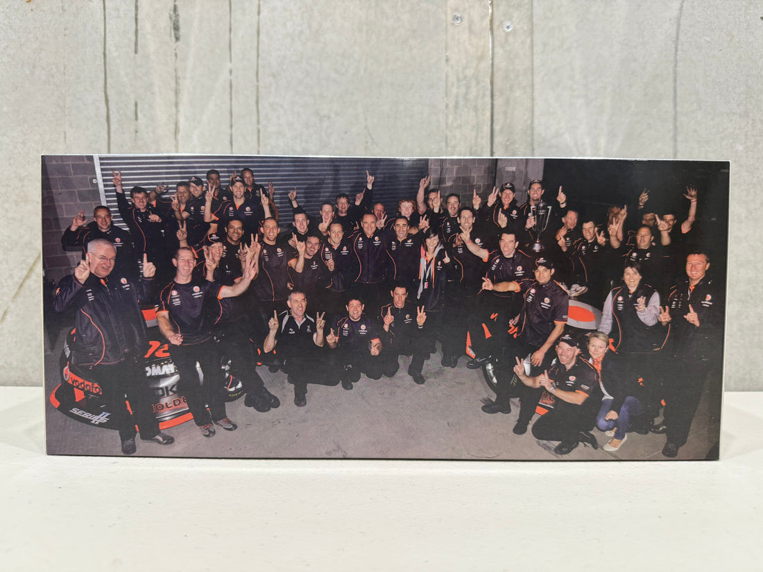 2010 Bathurst Winner - Craig Lowndes/Mark Skaife - 1:18 Scale Diecast Model