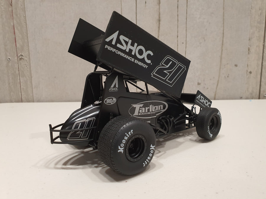 Chase Elliott 2022 Ashoc 1:18 Sprint Car Diecast