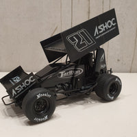 Chase Elliott 2022 Ashoc 1:18 Sprint Car Diecast