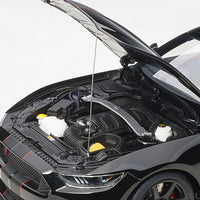 *PRE-ORDER* FORD SHELBY MUSTANG GT350R (SHADOW BLACK W/ BLACK STRIPES) 1:18 DIECAST